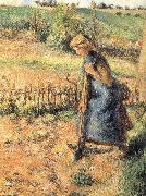 Camille Pissarro The collection of hay farmer oil painting reproduction